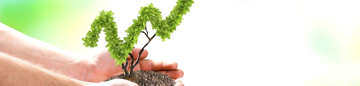 Sürdürülebilirlik