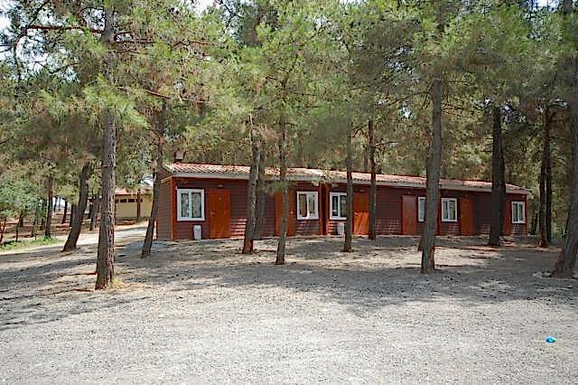 Başakşehir Belediyesi İzci Kampı